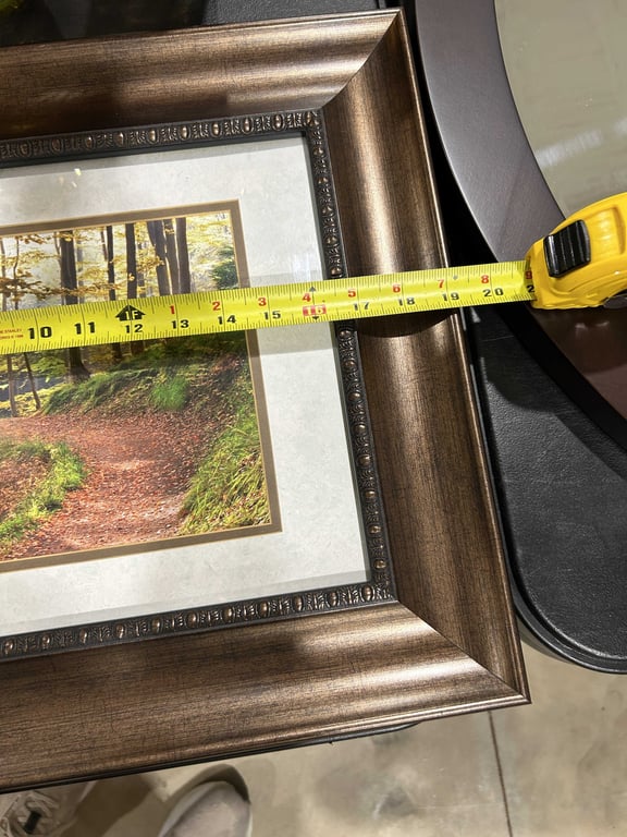 Framed Nature Pictures - Image 4