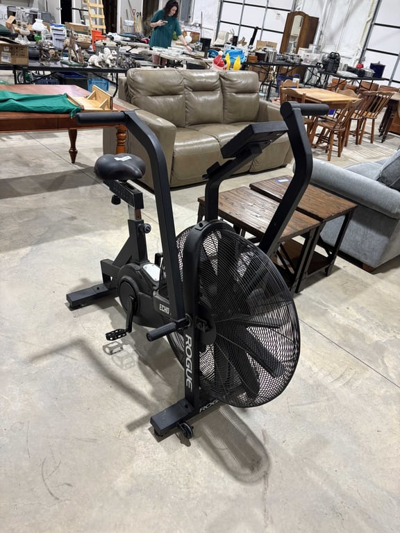 Image for Rogue Echo exercise bike