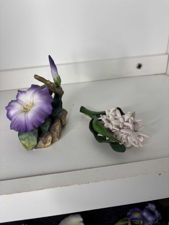 Hyacinth & Morning Glory - Image 2
