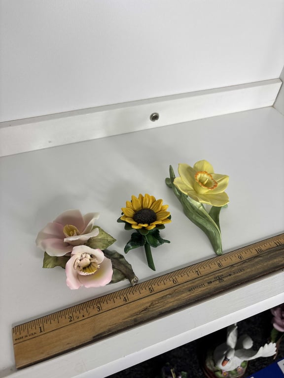 Dogwood Bloom, Jonquil, Sunflower