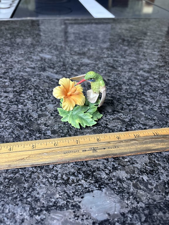 Mexican Broad Billed Hummingbird