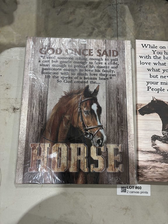 2 canvas prints - Image 3