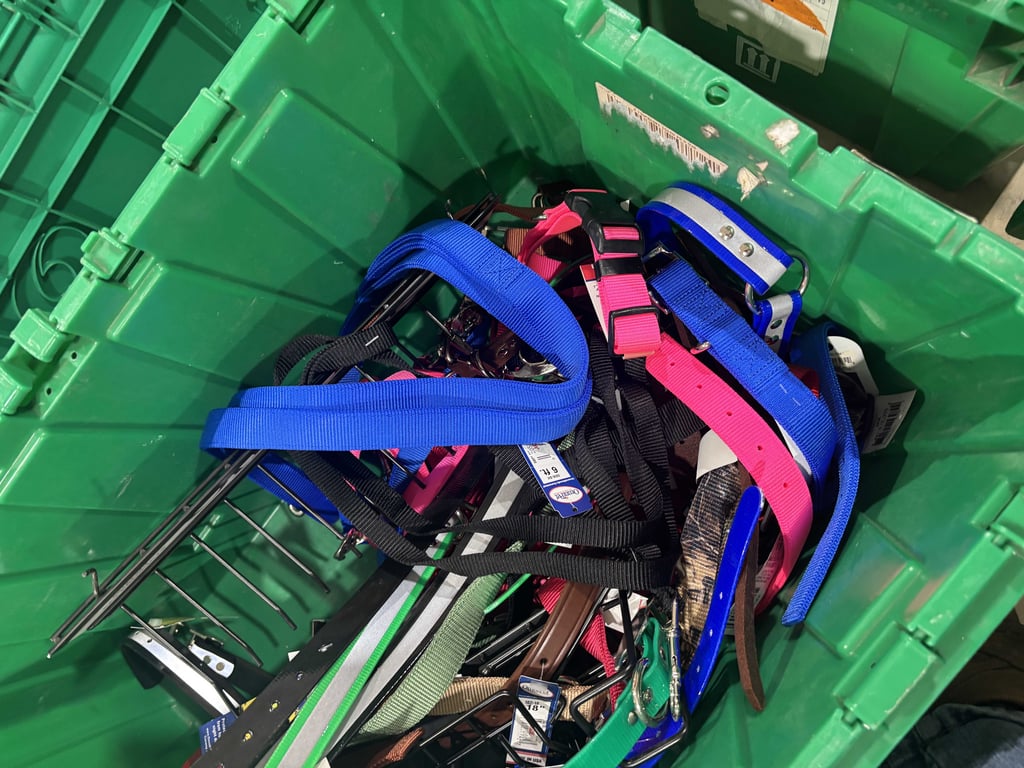 Tote of dog collars and supplies - Image 4