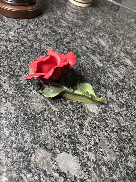 American Beauty Rose - Image 2