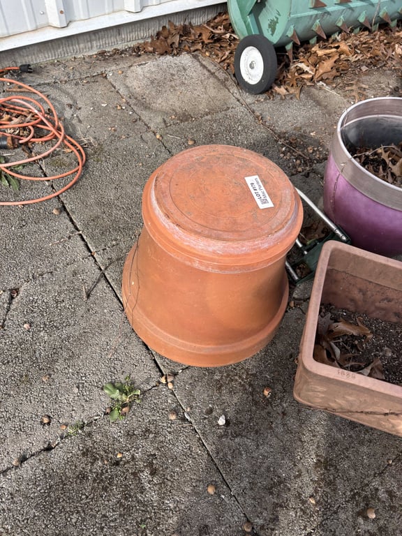 Misc Planters - Image 5