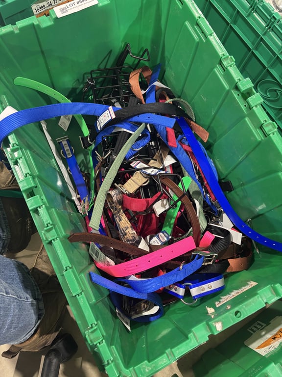 Tote of dog collars and supplies - Image 2