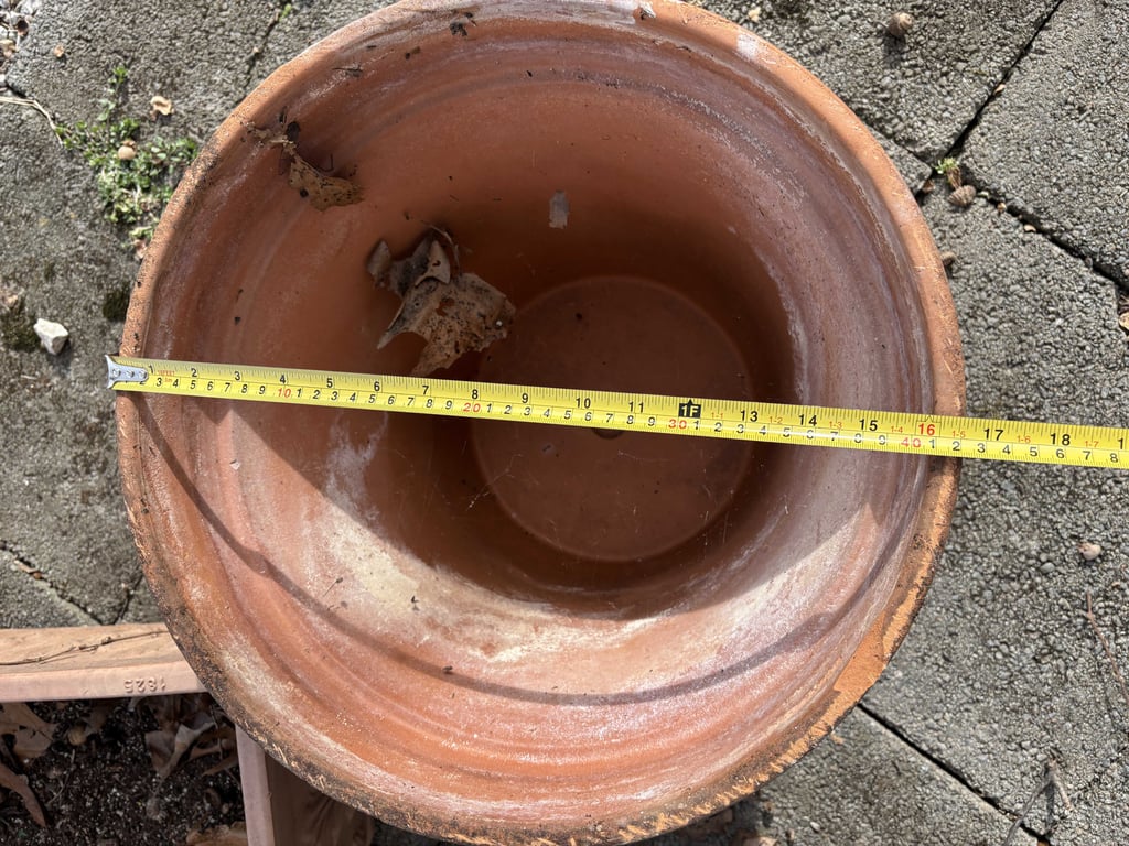 Misc Planters - Image 9