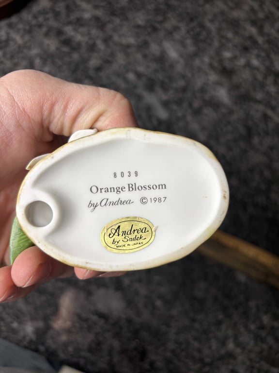 Orange Blossom - Image 2