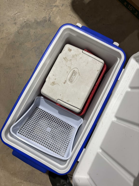 2 Coleman coolers - Image 4