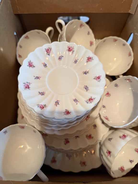 SET OF SPODE DIMITY BONE CHINA DISHES