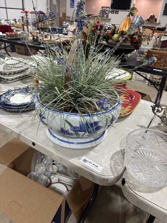 Blue and White Pot and Plant