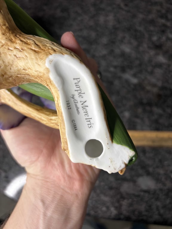 Purple Mere Iris - Image 3