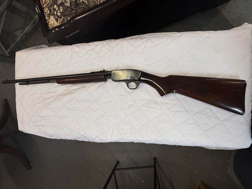 SAVAGE ARMS MOD. 298B 22 S/L  N/S