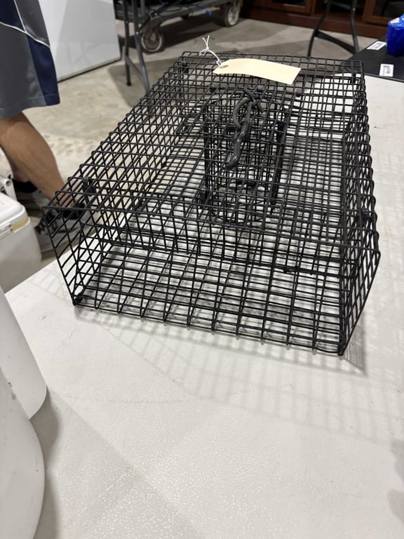 Live Trap - Image 2