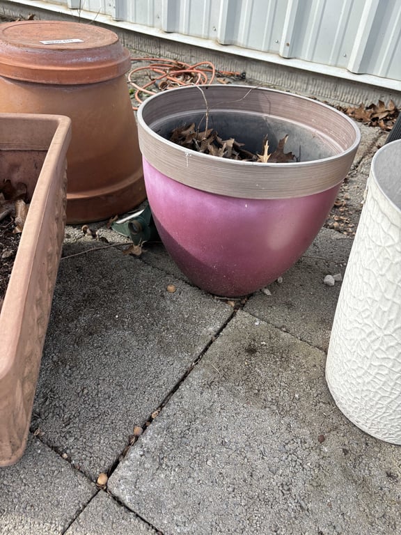 Misc Planters - Image 4