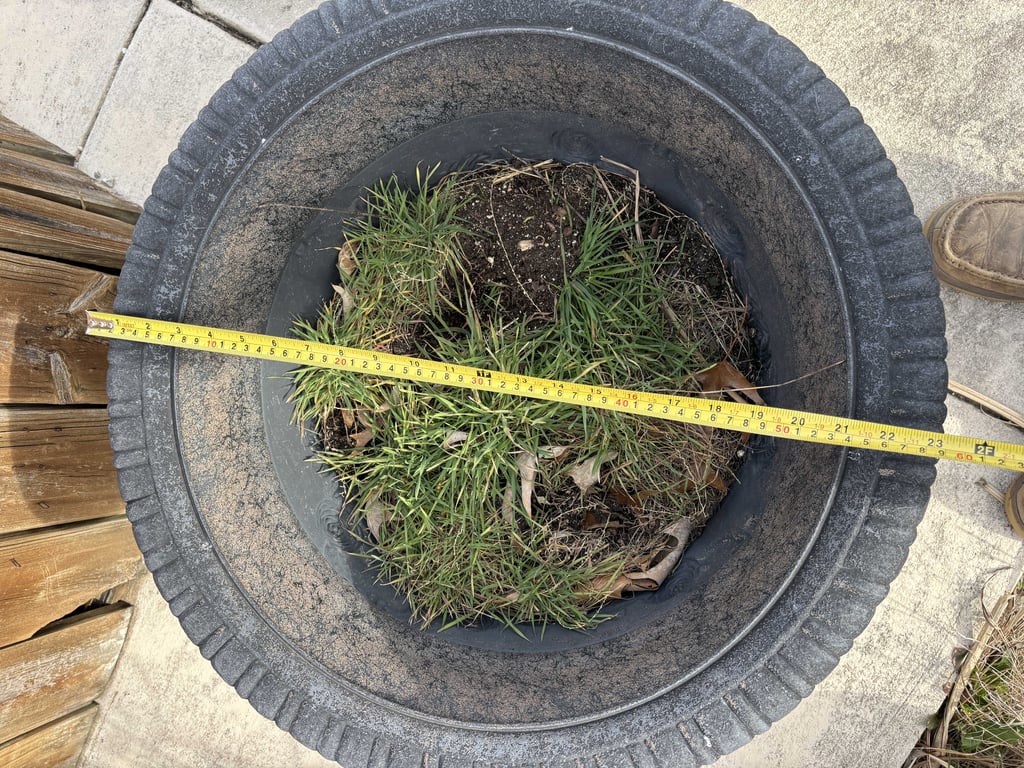 4 Plastic Planters - Image 4