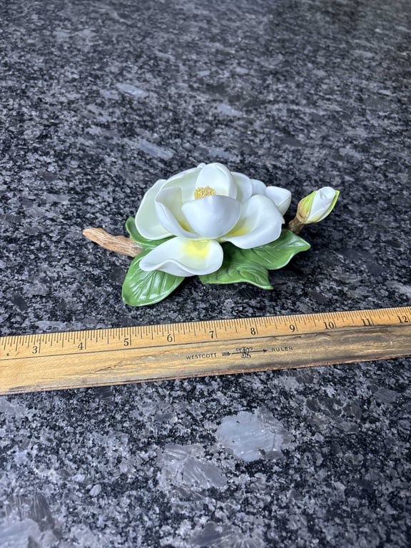 Avon Magnolia - Image 2