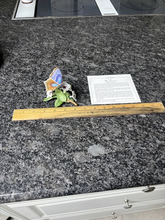 Lenox Blue Temora Butterfly