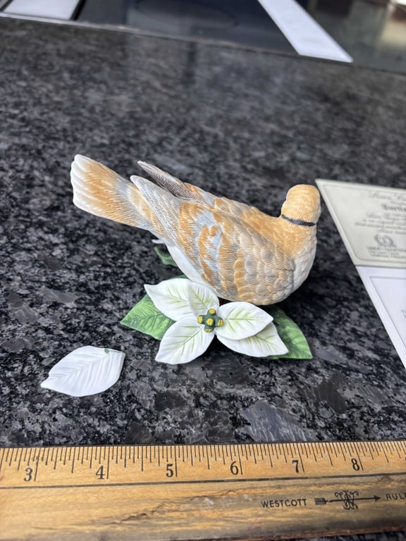 Lenox Turtle Dove - Image 3