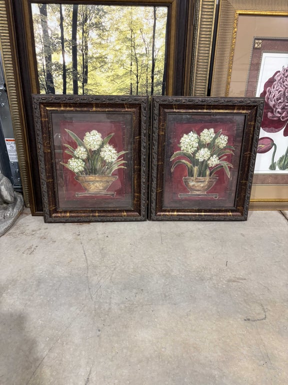 Pair of Pictures of Plants