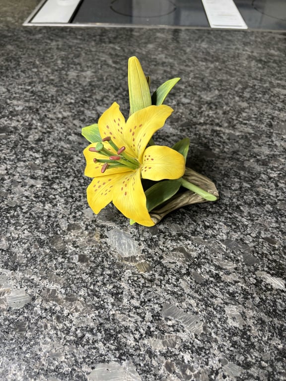 Yellow Lily