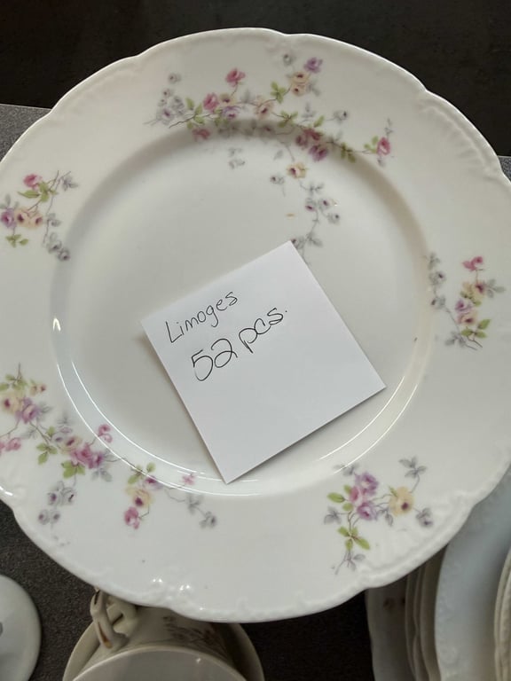 52 PCS LIMOGES "FLORAL SPRAY" PATTERN