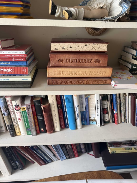 CONTENTS ON BOOKSHELVES - Image 3