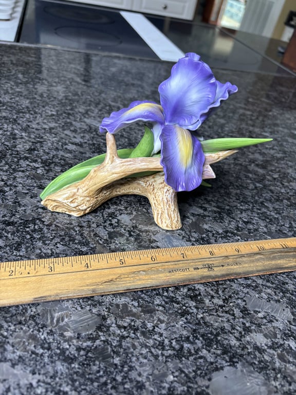 Purple Mere Iris - Image 2