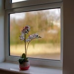 Fizzle Glass Window Film
