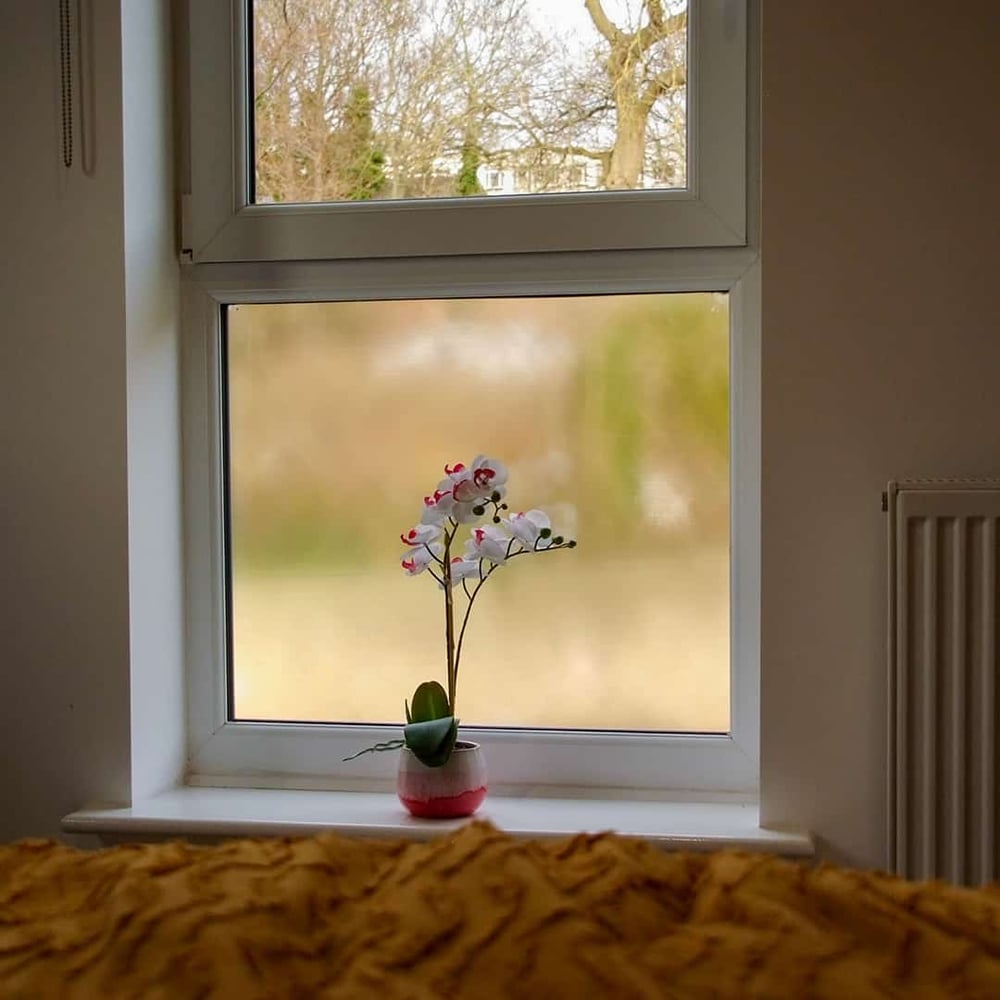 SAMPLE: Fizzle Glass Window Film