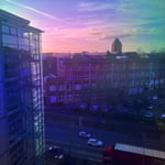 Orchid Dichroic Window Film