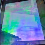 Orchid Dichroic Window Film