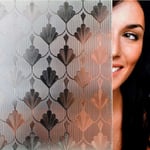 SAMPLE: Clear Fan Tail Window Film