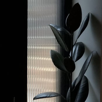 Cut Glass