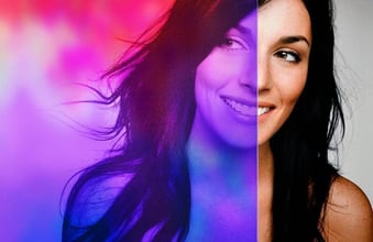 Dichro Orchid Model Web