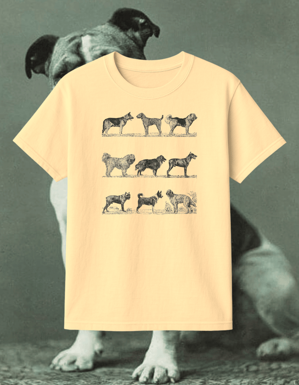 Sobaki print t-shirt