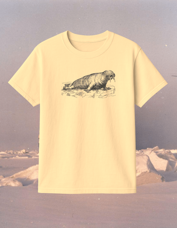 Walrus print t-shirt