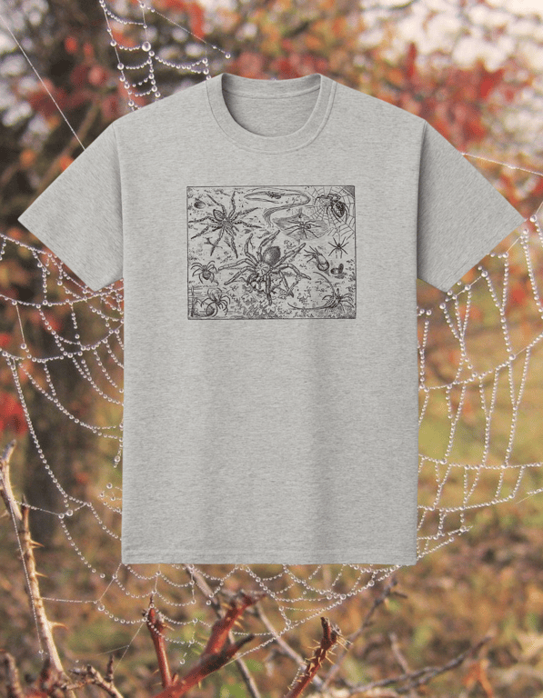 Spider print t-shirt
