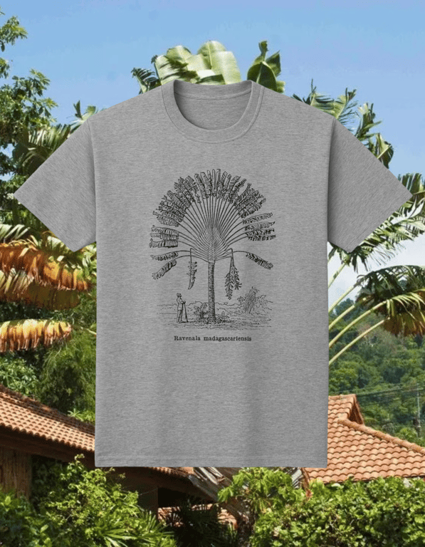 Ravenala print t-shirt