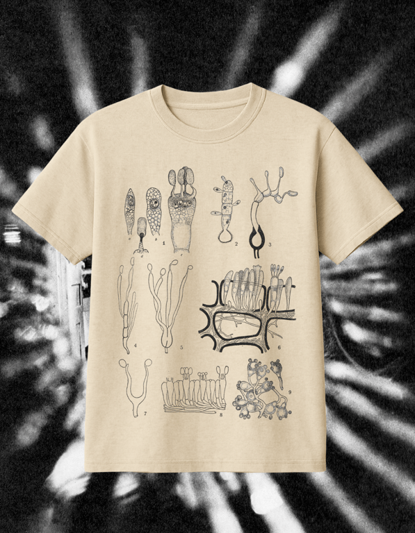 Bacterias print t-shirt