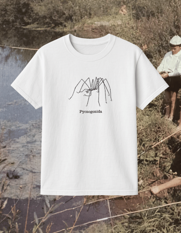 Pycnogonida print t-shirt