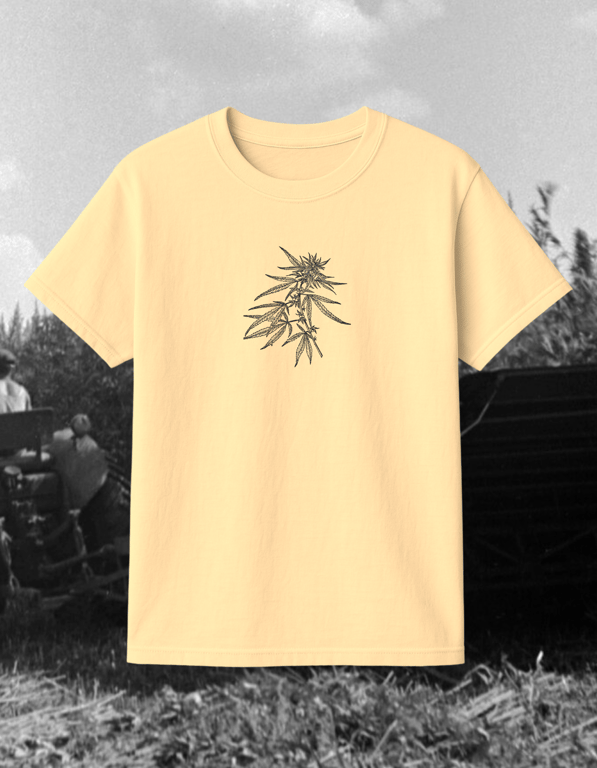 Cannabis print t-shirt