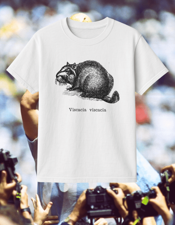 Viscacia print t-shirt