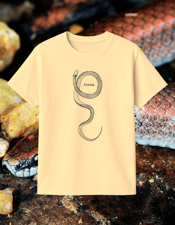 Contia print t-shirt