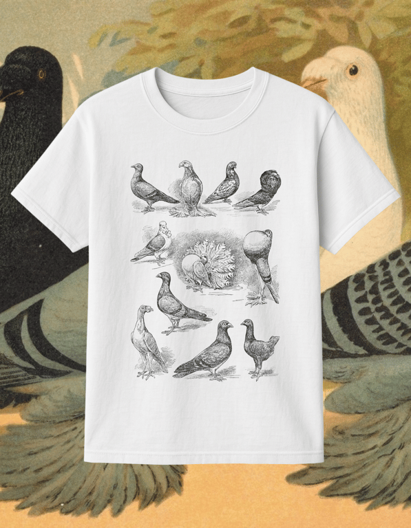 Pigeon print t-shirt