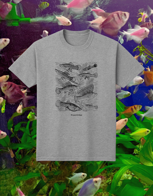 Poeciliidae print t-shirt