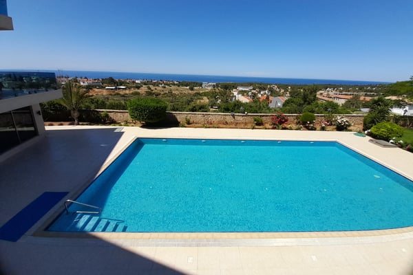 Luxury Poolside Patio with Covered Seating – A serene outdoor retreat with a rectangular swimming pool, elegant patio seating, large glass doors leading indoors, and a covered patio with stucco columns.