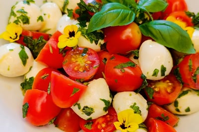 Positive Erfahrungen mit professioneller Veranstaltungsbetreuung