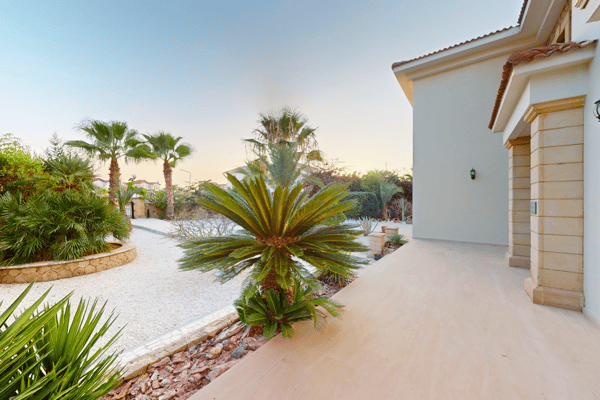 Lush garden area with subtropical foliage, evoking privacy and tranquility.