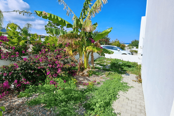 Lush garden landscape rich in tropical flora and Mediterranean plants, framing the villa’s vibrant outdoor retreat.